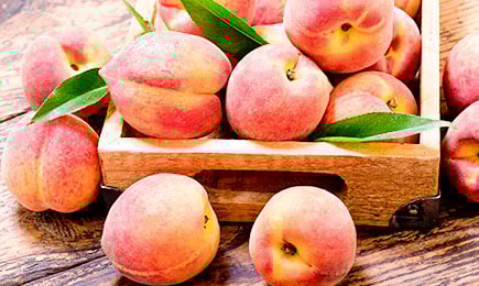 Sultingas malonumas | GradinaMax