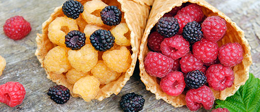 Veľká úroda | GradinaMax