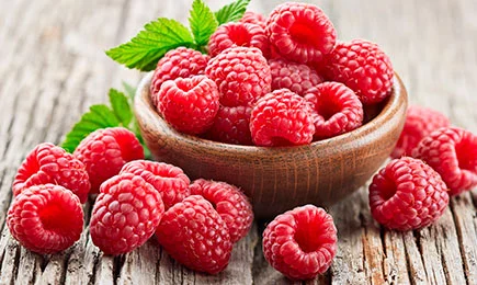 Saldžios uogos | GradinaMax