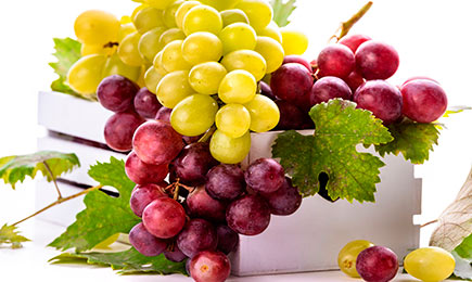 Vynuogių apsipirkimas | GradinaMax